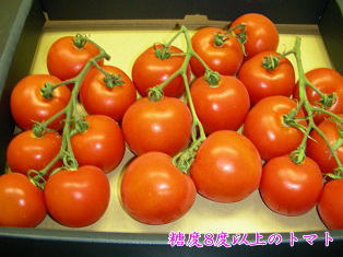 高糖度トマト